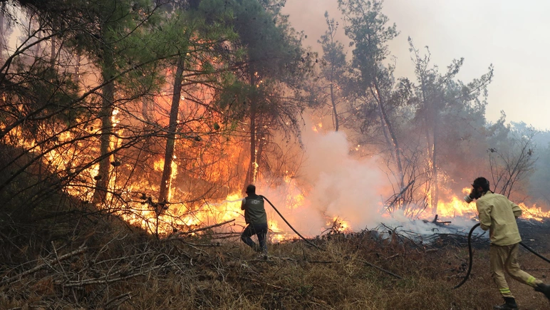 Gelibolu'da yangın çıktı: Bakan bölgeye gidiyor